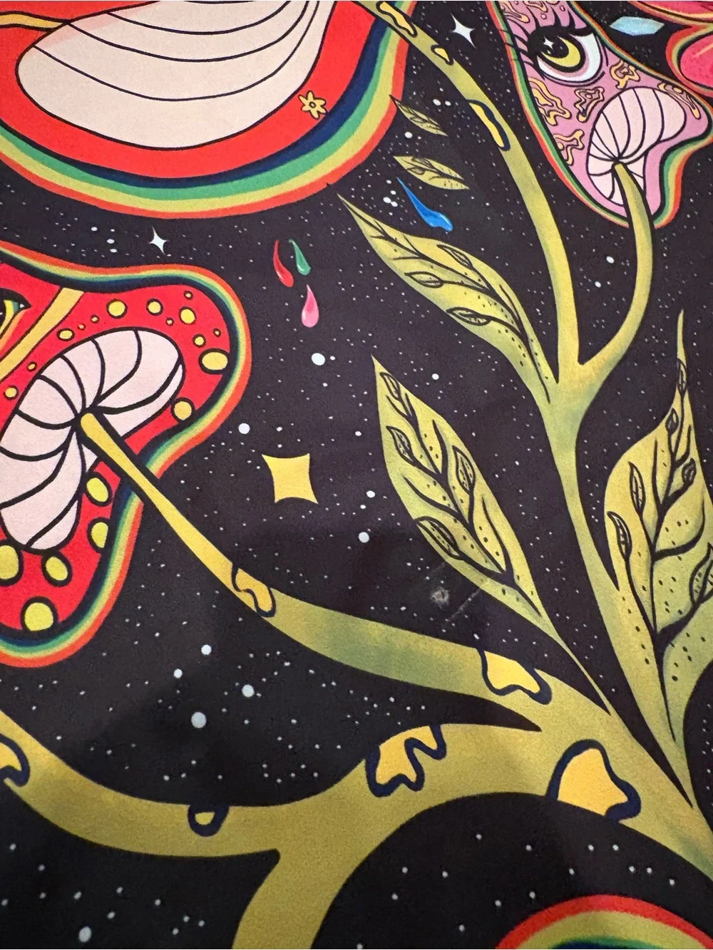 Psychedelic Floral Mushroom Wall Art - Multicolor
